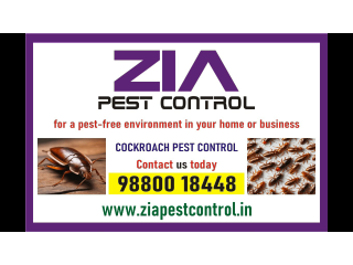 Cockroach Spray and Jel treatment | Zia pest control | Bangalore | 1986