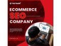 elevate-your-brand-with-our-ecommerce-seo-company-small-0