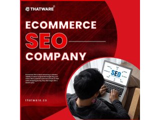 Elevate Your Brand with Our Ecommerce SEO Company