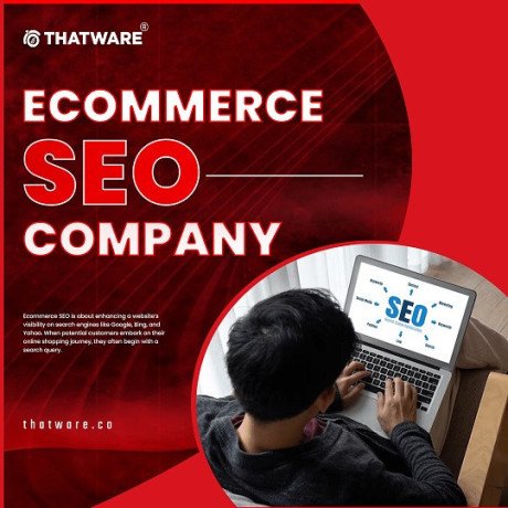 elevate-your-brand-with-our-ecommerce-seo-company-big-0