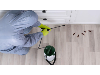 Pest Control Services in Hyderabad | Unicare Services