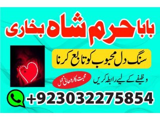 Vashikaran specialist in uk, black magic specialist in usa, black magic removal specialist,