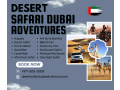 unleash-your-wild-side-quad-biking-adventure-in-dubai-971555538395-small-0