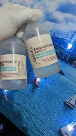 buy-nembutal-online-buy-pentobarbital-so-big-1