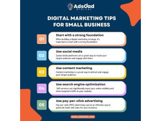 Best Digital Marketing Agency in Delhi - Adsdad Digital