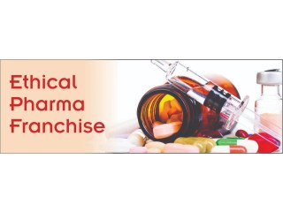 Top Franchise Pharma having own ethical marketing