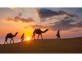 rajasthan-honeymoon-packages-your-dream-romantic-getaway-awaits-small-1