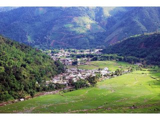 Explore Ziro Valley with Exclusive Tour Packages!