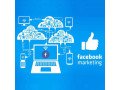 recognized-facebook-ads-management-agency-in-delhi-small-0