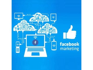 Recognized Facebook ads management agency in Delhi