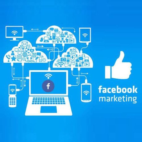 recognized-facebook-ads-management-agency-in-delhi-big-0