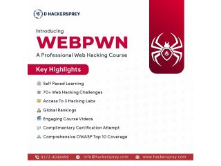 Professional web hacking course online