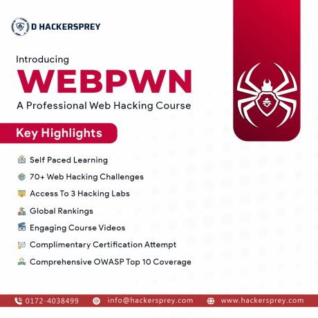 professional-web-hacking-course-online-big-0