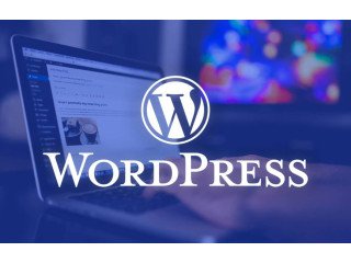 Build Your Dream Website with Our WordPress Development Team!