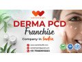 derma-pcd-franchise-company-in-india-small-0