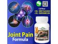 permanent-joint-pain-relief-with-painazone-capsule-small-0