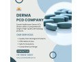 how-would-access-to-exclusive-derma-formulations-from-a-leading-derma-pcd-company-elevate-your-business-small-0