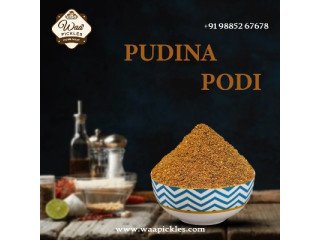 Best Pudina podi in Andhra Pradesh