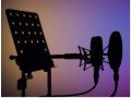 budget-friendly-voice-over-services-for-your-multimedia-project-small-0