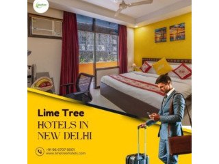 Best Hotel in New Delhi/Lime tree hotels