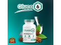 gluco-6-blood-sugar-support-small-0