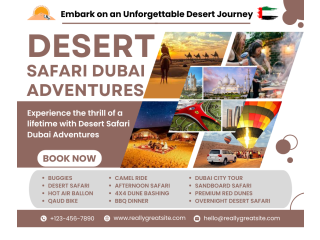 Camel Ride Adventure Dubai 00971555538395