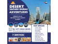 morning-safari-dubai-00971-5555-38395-small-0