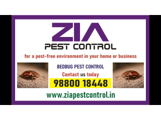 Bedbug treatment Upto 30% Off  | Paying Guest | 1917 | Office