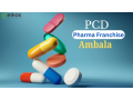 pcd-pharma-franchise-company-in-ambala-small-0