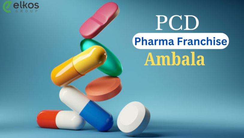 pcd-pharma-franchise-company-in-ambala-big-0