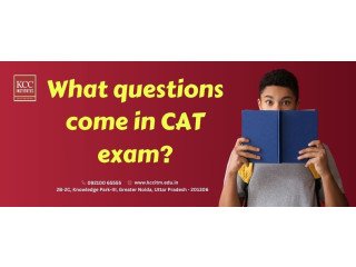 What questions come in CAT exam?