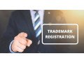 secure-your-brand-today-trademark-registration-in-delhi-small-0