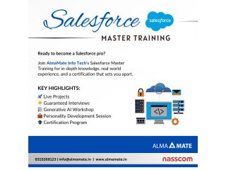 AlmaMate Info Tech Pvt Ltd Best Salesforce Training in Noida