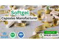 list-of-top-10-softgel-capsule-manufacturers-in-india-small-0