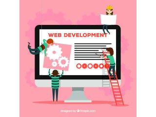 Hire Expert WordPress Developers in India - NexGen Innovators