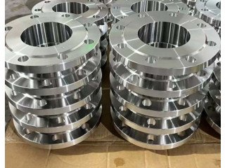 Discover Special Deals on Premium Ss Flanges