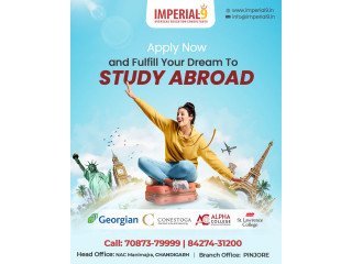 Top Reasons to Choose Imperial 9 as Your best  Visa Consultants in Chandigarh