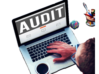 Reliable Online Audit Service Provider in Delhi  Book Now!