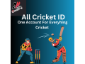 how-all-cricket-id-is-revolutionizing-online-cricket-gaming-experience-small-0