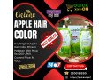 apple-hair-color-prices-in-karachipakistan-your-complete-guide-2024-small-0