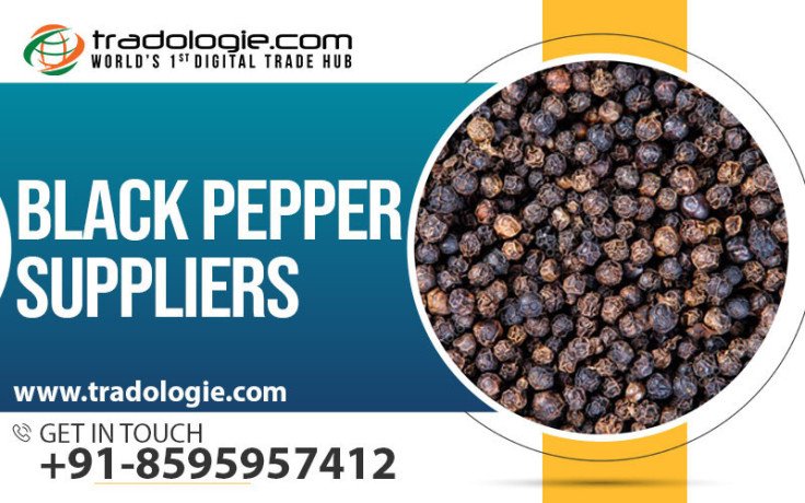 black-pepper-suppliers-big-0