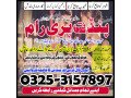 authentic-amil-baba-karachi-powerful-amil-baba-lahore-amil-baba-small-0