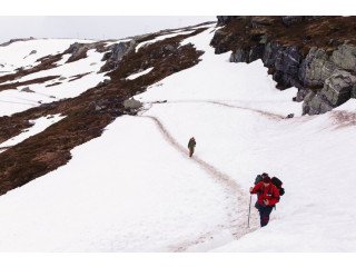 Want to know more about the Chopta Chandrashila Trek?