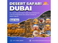 quad-biking-dubai-conquer-the-desert-in-style-00971555538395-small-0