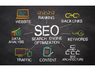 Get More Leads with a Professional SEO Services Agency