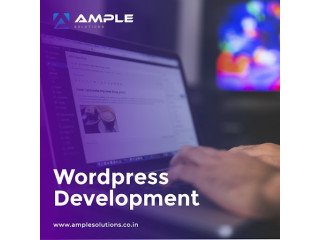 Custom  Wordpress  Theme   Development