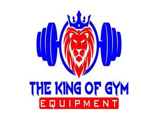 The King of Gym Equipment - Indoor Play Equipment in Surat