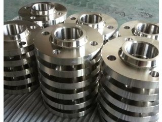 Discover Special Deals on Superb Ss Flanges