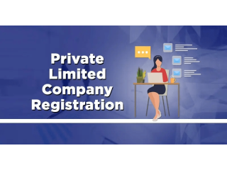 Professional Pvt Ltd Registration in Delhi  Contact Now!