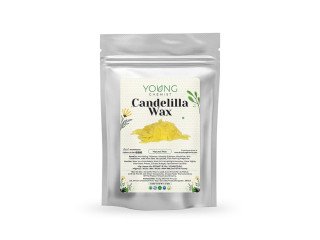 Candelilla Wax